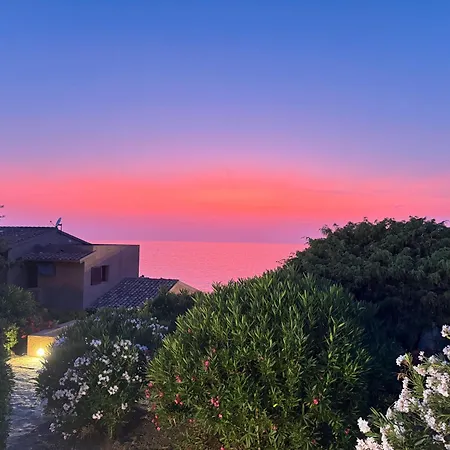 Blue Horizon- *